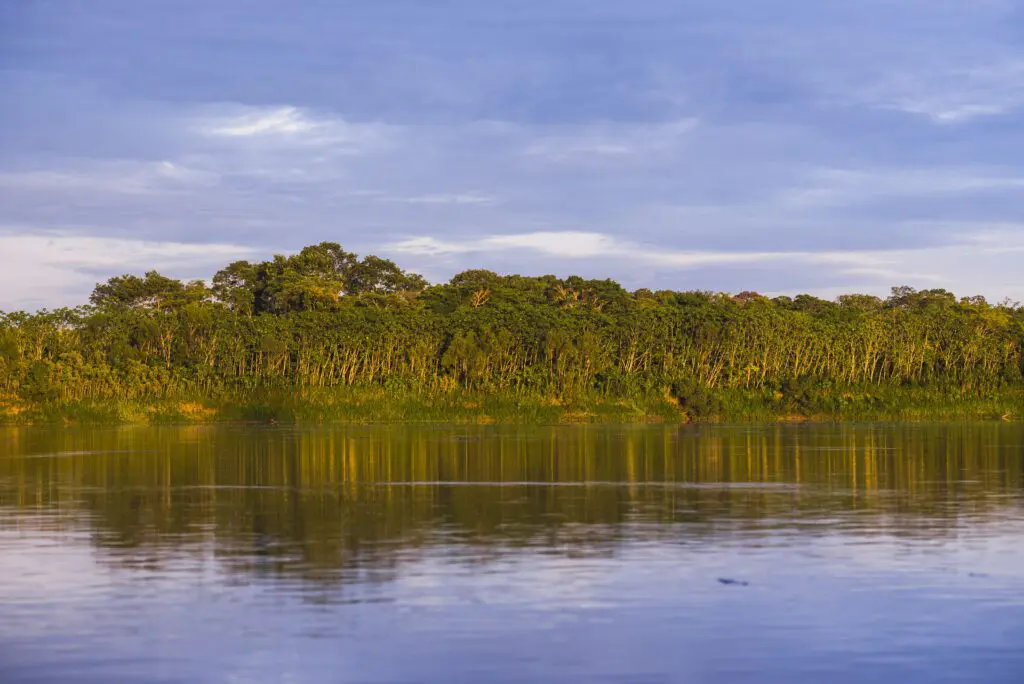 sunrise over river in amazon jungle of peru tambo 2024 09 17 20 19 34 utc