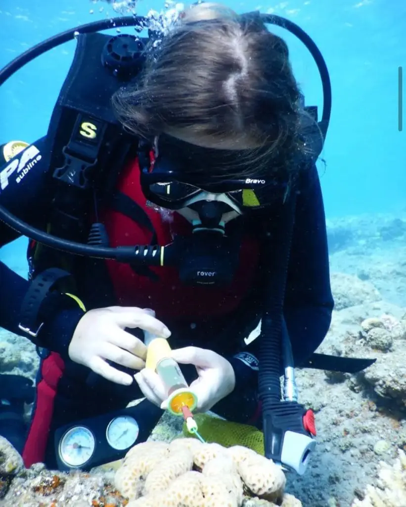 3. the researchers analyzing the secretions of marine animals.