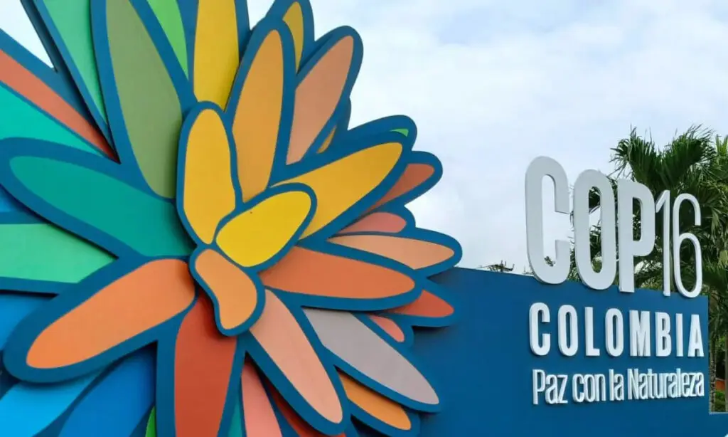 cop16 biodiversidade a 4 dias do final (1)