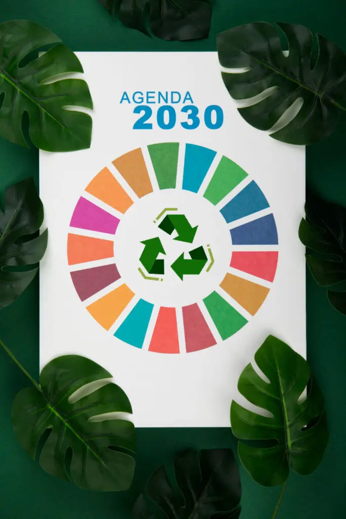 Mundo com ritmo insuficiente para atingir Objetivos de Desenvolvimento até 2030 – ONU