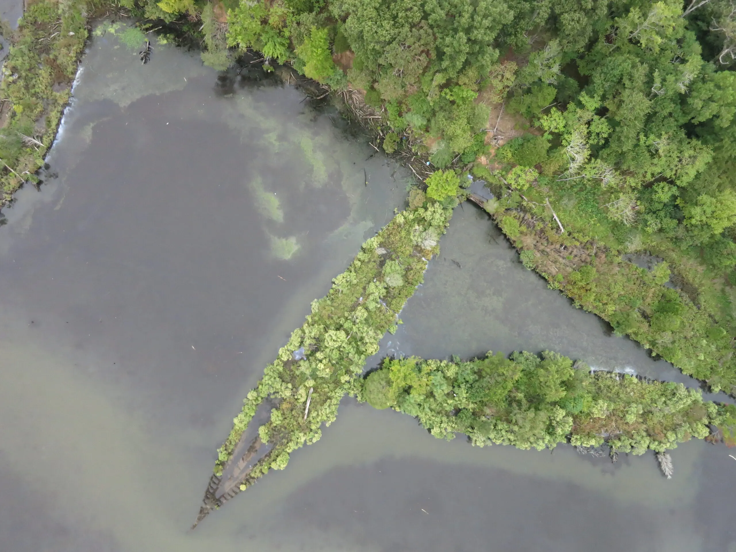 Foto:Duke Marine Robotics and Remote Sensing Lab