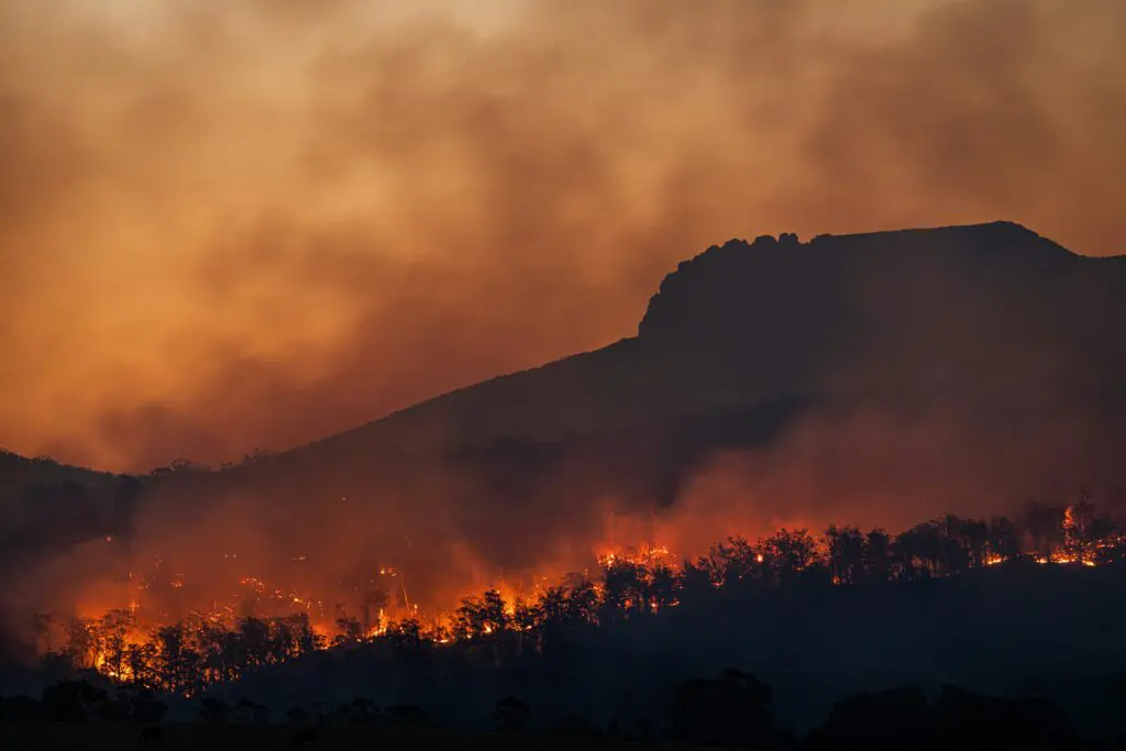 COP30: Portugal junta-se a 48 países para reforçar prevenção contra incêndios