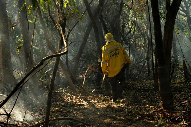 brigadistas combate fogo no para 3