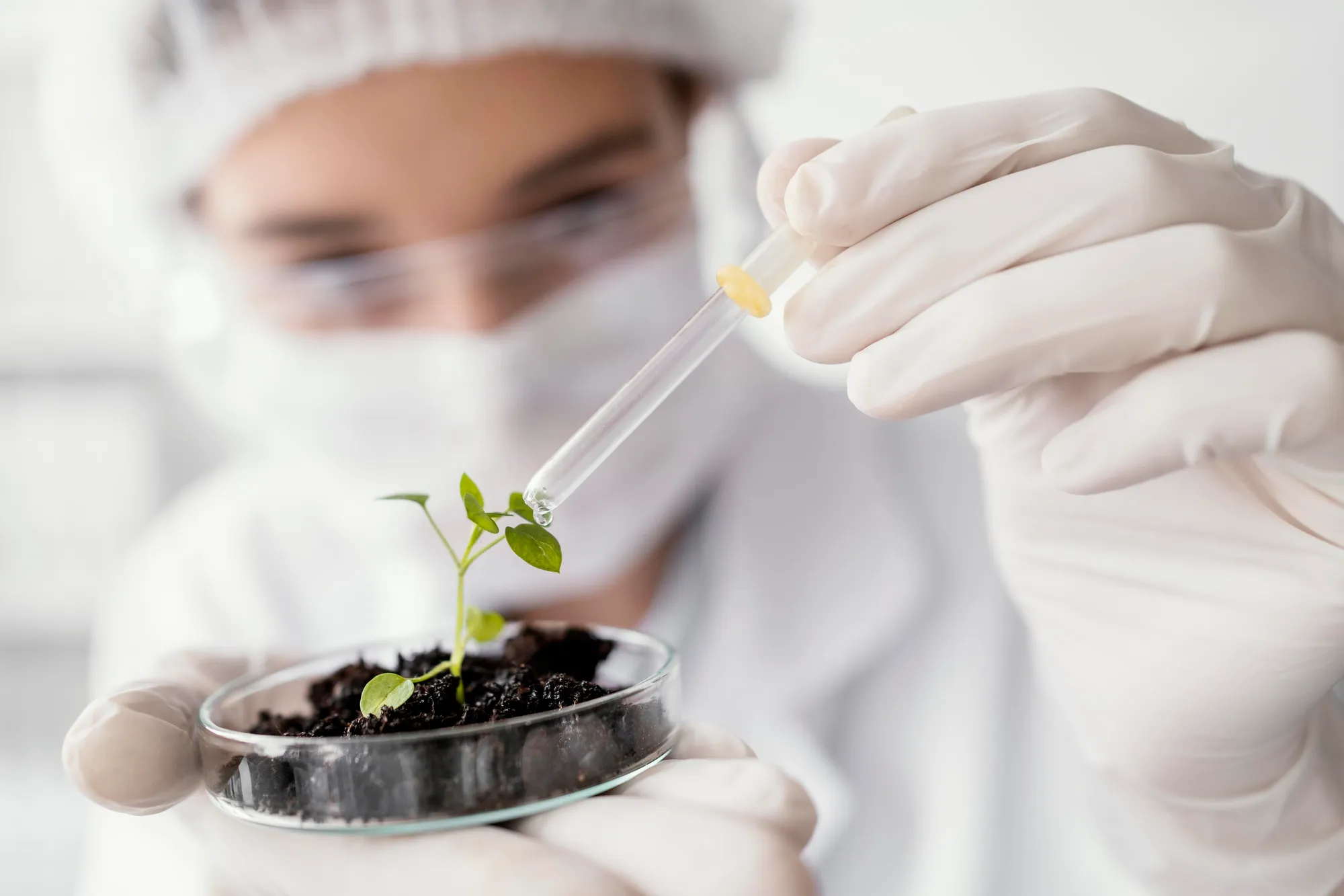 cientista regando planta com uma pipeta