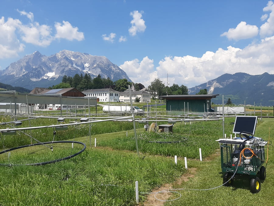 4 climgrass setup transpiration measurement camille halais (1)