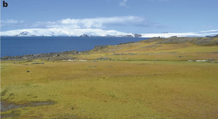 antartida