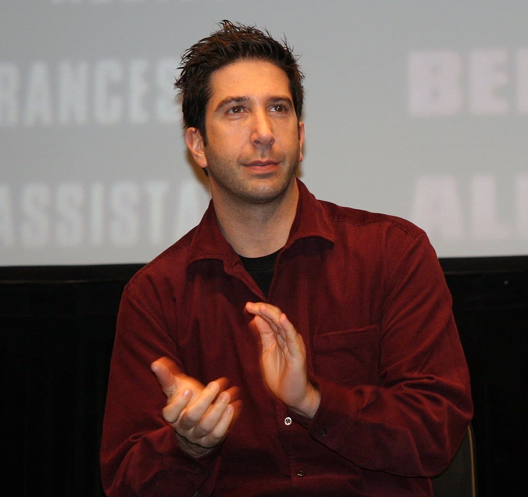 david schwimmer @wikipedia