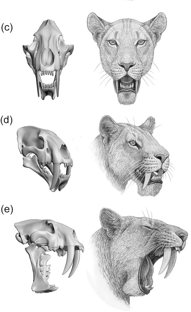 ar25622 fig 0016 m (1)