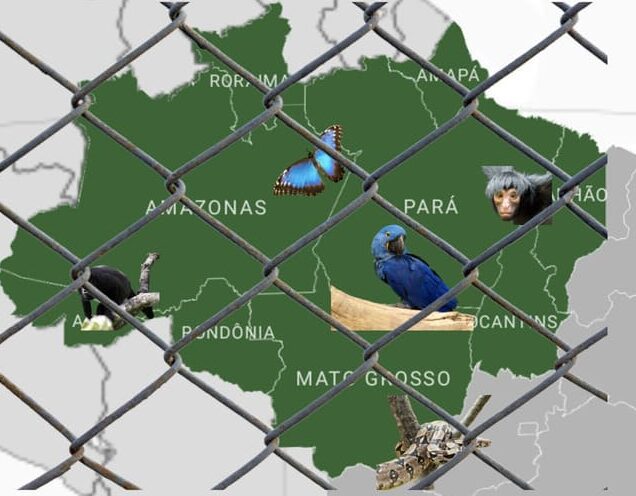 brasil01