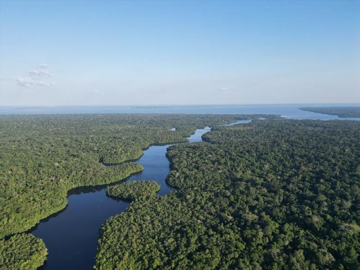 Amazónia brasileira perdeu de floresta em 40 anos mais de cinco vezes a área de Portugal