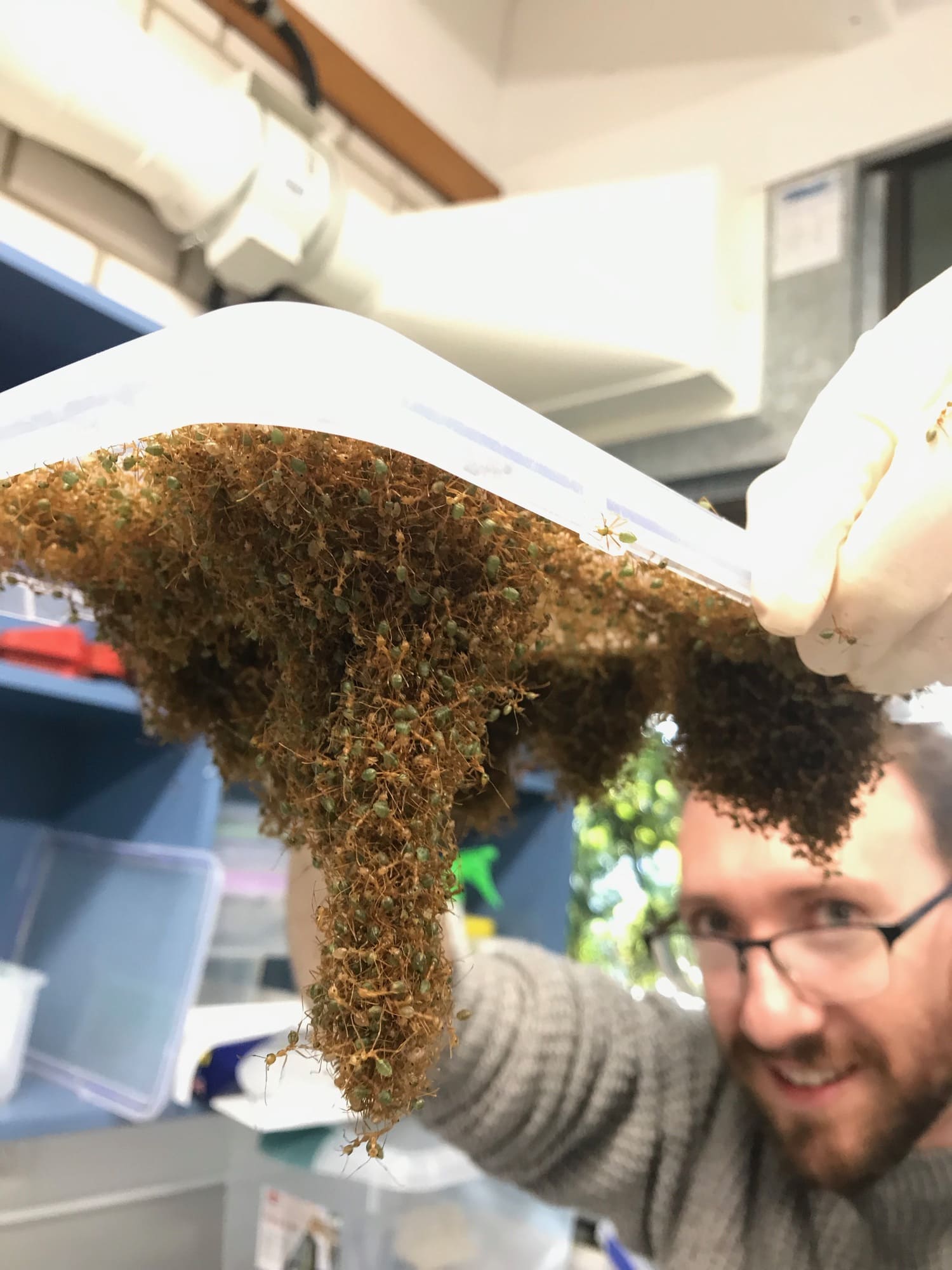 Foto: Chris Reid, Macquarie University