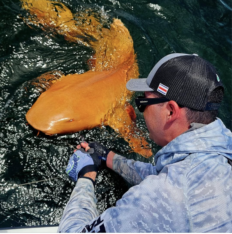 Tubarão laranja com olhos brancos é avistado pela primeira vez na Costa Rica