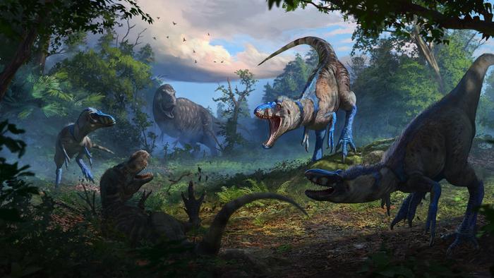 “Nanotyrannus” confirmado: fóssil dos “Dueling Dinosaurs” reescreve a história do T. Rex