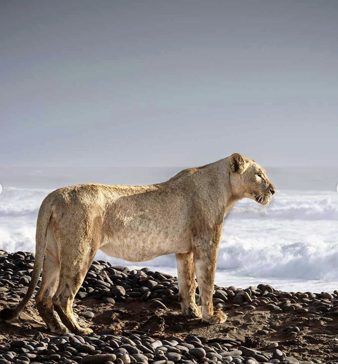 Foto Instagram@grietvanm