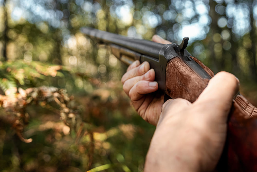 Governo revê regime da caça e simplifica acesso à carta de caçador