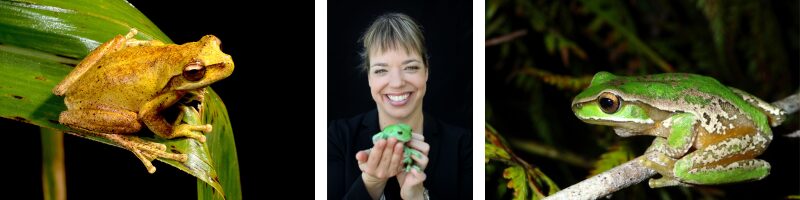 Semana do FrogID 2025 do Museu Australiano dá início à maior contagem de rãs do mundo